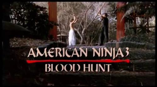 NTU0MTk1NTUz_o_american-ninja-3-killcount